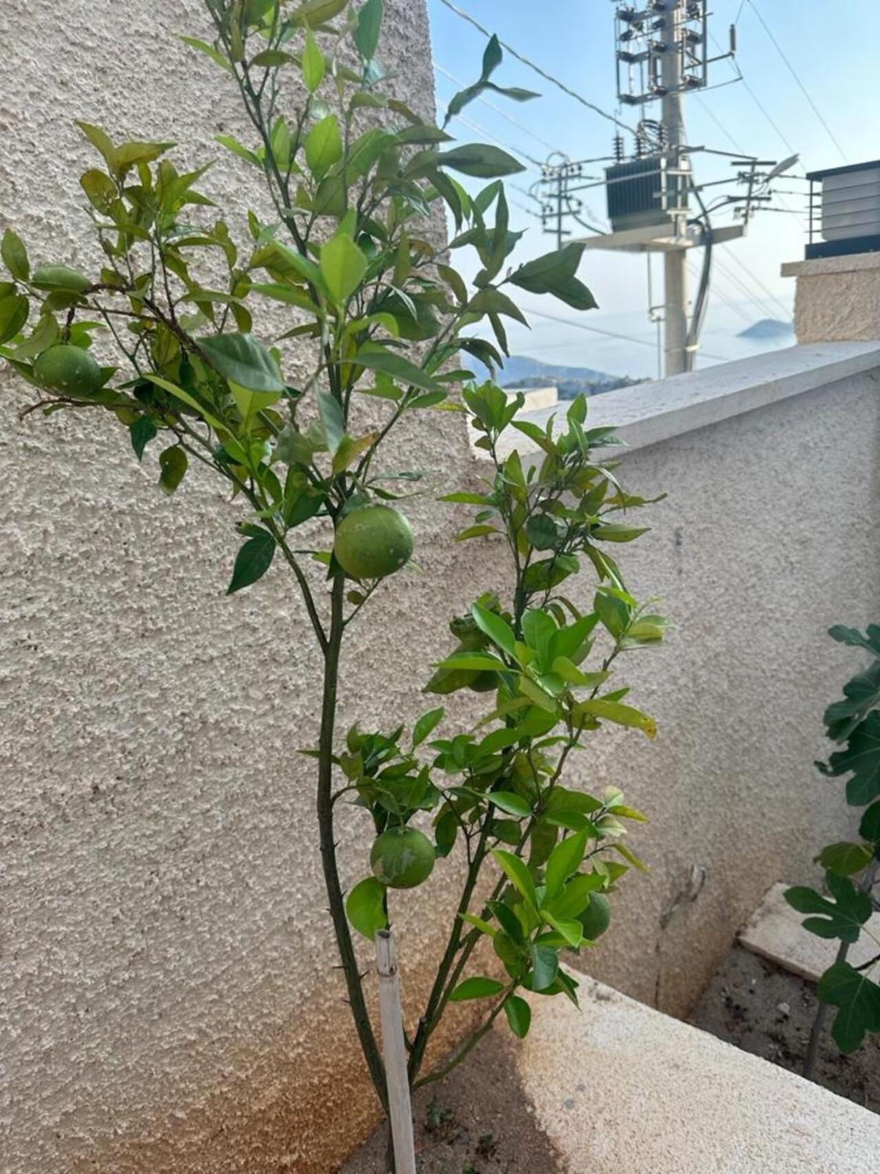 Kalkan Villa Beauty Honeymoon Kaş Zewnętrze zdjęcie